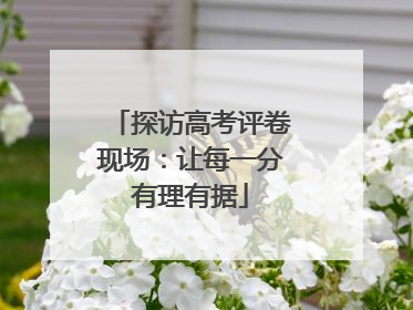 探访高考评卷现场：让每一分有理有据