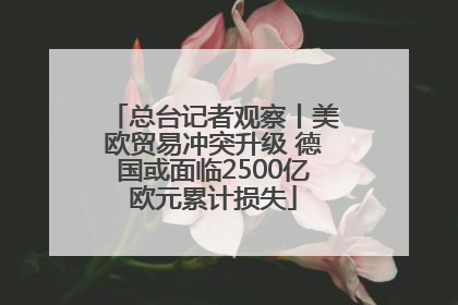 总台记者观察丨美欧贸易冲突升级 德国或面临2500亿欧元累计损失