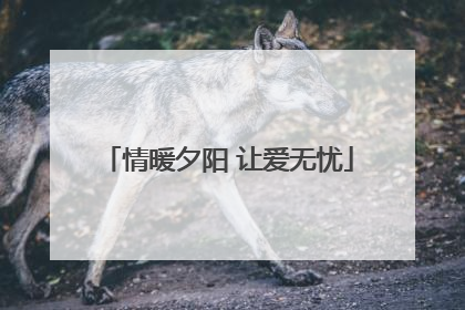 情暖夕阳 让爱无忧
