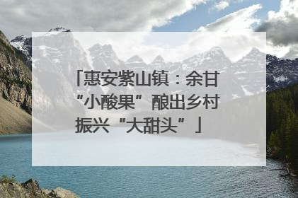 惠安紫山镇：余甘“小酸果”酿出乡村振兴“大甜头”