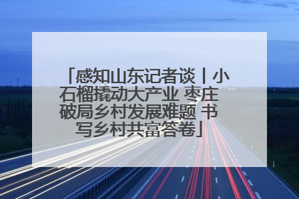 感知山东记者谈丨小石榴撬动大产业 枣庄破局乡村发展难题 书写乡村共富答卷