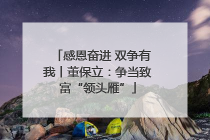 感恩奋进 双争有我丨董保立：争当致富“领头雁”