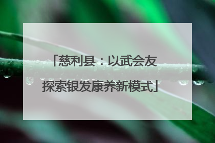 慈利县：以武会友 探索银发康养新模式