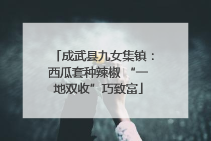 成武县九女集镇：西瓜套种辣椒 “一地双收”巧致富