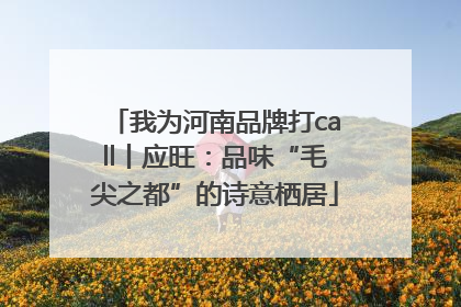 我为河南品牌打call丨应旺：品味“毛尖之都”的诗意栖居