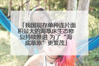我国现存单种连片面积最大的海草床生态修复持续推进 为了“海底草原”更繁茂