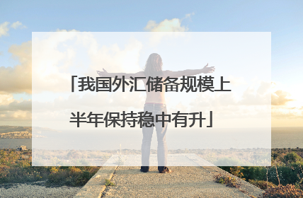 我国外汇储备规模上半年保持稳中有升