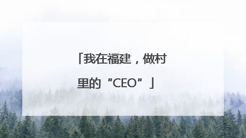 我在福建，做村里的“CEO”