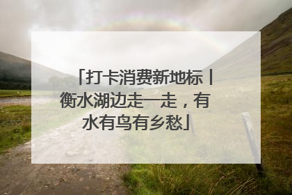 打卡消费新地标丨衡水湖边走一走，有水有鸟有乡愁