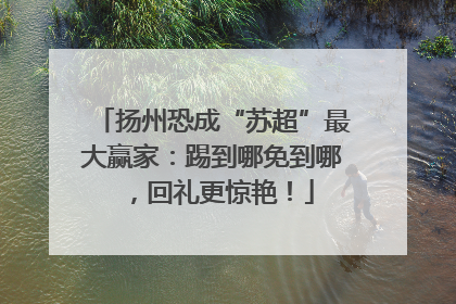 扬州恐成“苏超”最大赢家：踢到哪免到哪，回礼更惊艳！