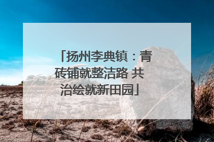 扬州李典镇：青砖铺就整洁路 共治绘就新田园