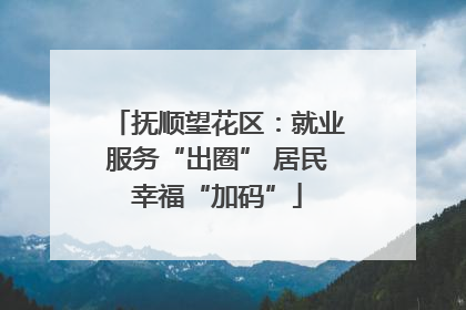 抚顺望花区：就业服务“出圈” 居民幸福“加码”