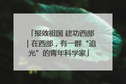 报效祖国 建功西部｜在西部，有一群“追光”的青年科学家