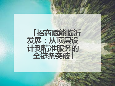 招商赋能临沂发展：从顶层设计到精准服务的全链条突破