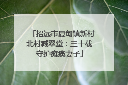 招远市夏甸镇新村北村臧翠堂：三十载守护瘫痪妻子