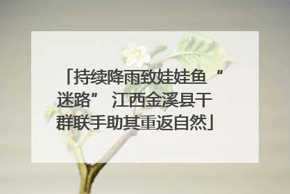 持续降雨致娃娃鱼“迷路” 江西金溪县干群联手助其重返自然