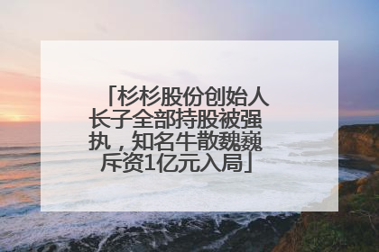 杉杉股份创始人长子全部持股被强执，知名牛散魏巍斥资1亿元入局
