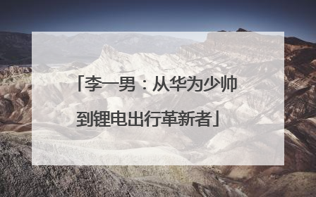 李一男：从华为少帅到锂电出行革新者