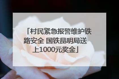 村民紧急报警维护铁路安全 国铁昆明局送上1000元奖金