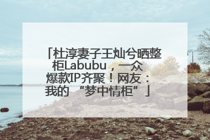 杜淳妻子王灿兮晒整柜Labubu，一众爆款IP齐聚！网友：我的 “梦中情柜”