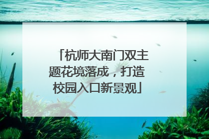 杭师大南门双主题花境落成，打造校园入口新景观