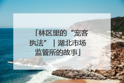 林区里的“宠客执法”｜湖北市场监管所的故事