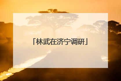 林武在济宁调研