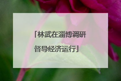 林武在淄博调研督导经济运行