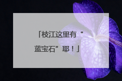 枝江这里有“蓝宝石”耶！