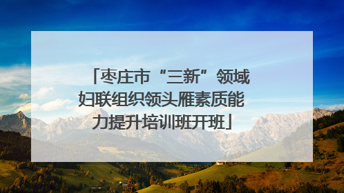 枣庄市“三新”领域妇联组织领头雁素质能力提升培训班开班