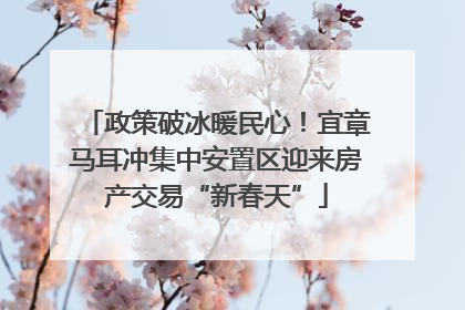 政策破冰暖民心！宜章马耳冲集中安置区迎来房产交易“新春天”