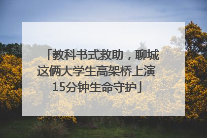 教科书式救助，聊城这俩大学生高架桥上演15分钟生命守护