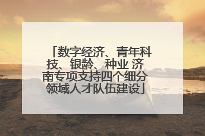 数字经济、青年科技、银龄、种业 济南专项支持四个细分领域人才队伍建设