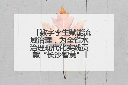 数字孪生赋能流域治理，为全省水治理现代化实践贡献“长沙智慧”