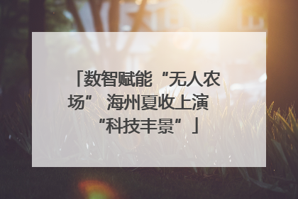 数智赋能“无人农场” 海州夏收上演“科技丰景”