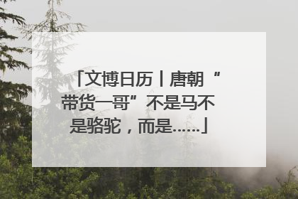 文博日历丨唐朝“带货一哥”不是马不是骆驼，而是……