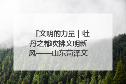文明的力量｜牡丹之都吹拂文明新风——山东菏泽文明创建一线见闻