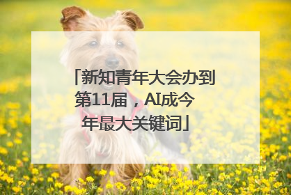 新知青年大会办到第11届，AI成今年最大关键词