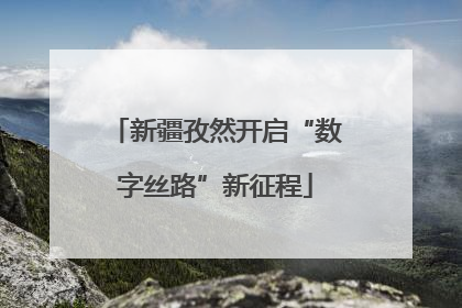 新疆孜然开启“数字丝路”新征程