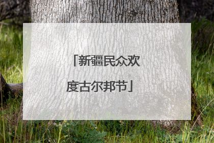 新疆民众欢度古尔邦节