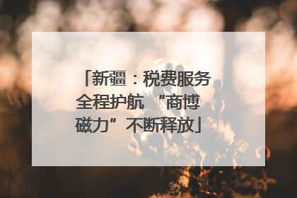 新疆：税费服务全程护航 “商博磁力”不断释放