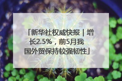 新华社权威快报｜增长2.5%，前5月我国外贸保持较强韧性