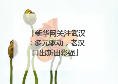 新华网关注武汉：多元驱动，老汉口出新出彩强