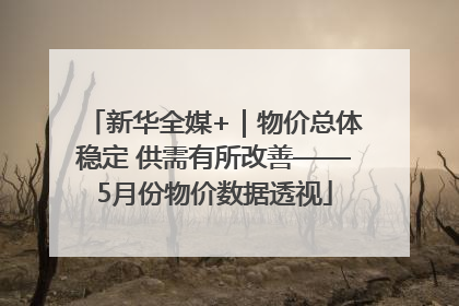 新华全媒+｜物价总体稳定 供需有所改善——5月份物价数据透视