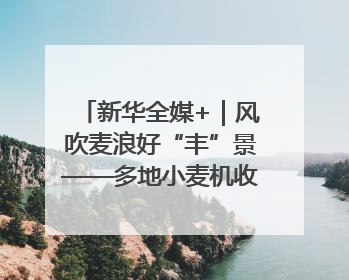 新华全媒+｜风吹麦浪好“丰”景——多地小麦机收一线见闻