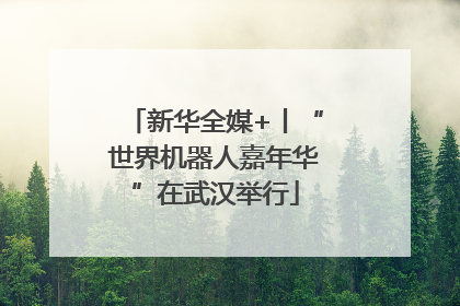 新华全媒+丨“世界机器人嘉年华”在武汉举行
