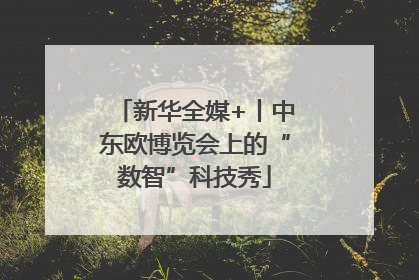 新华全媒+丨中东欧博览会上的“数智”科技秀