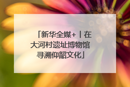 新华全媒+丨在大河村遗址博物馆寻溯仰韶文化