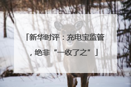新华时评：充电宝监管，绝非“一收了之”