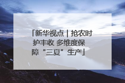 新华视点｜抢农时 护丰收 多维度保障“三夏”生产